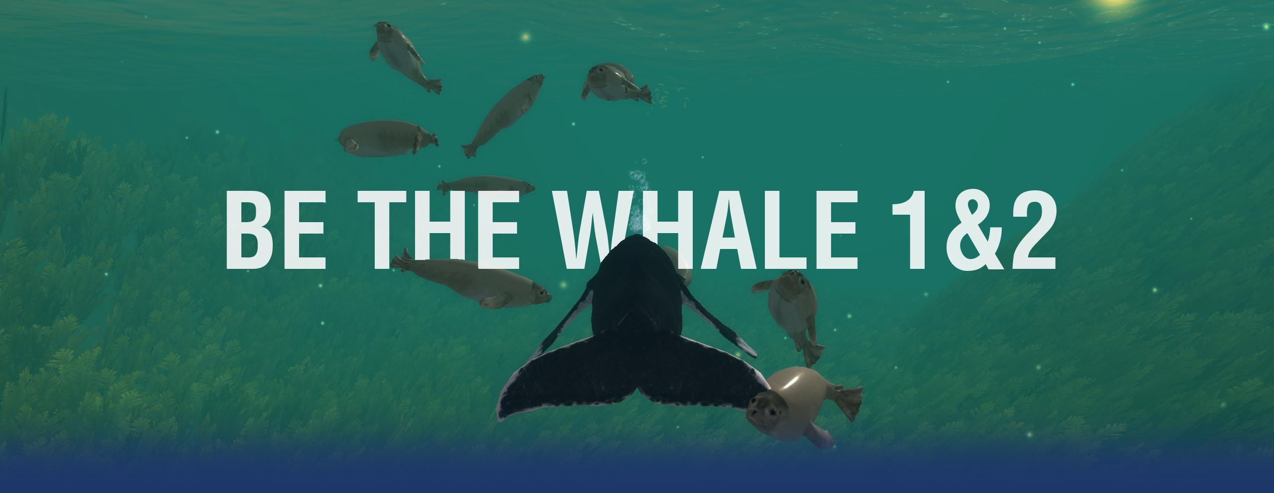 Frontimage_Website_BeTheWhale_ROTxBLAU