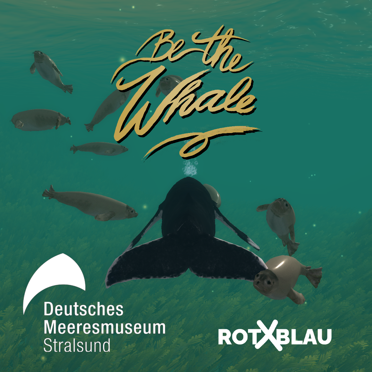 BeTheWhale_Portfolio_Image